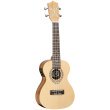 TANGLEWOOD - TWT9-E