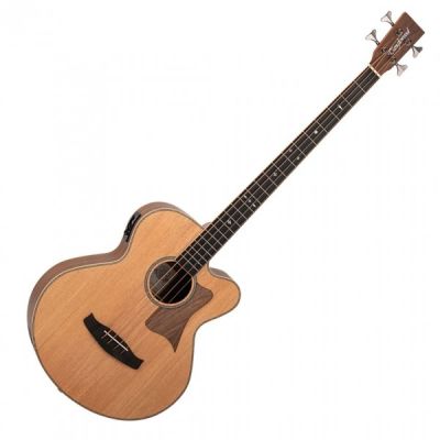 TANGLEWOOD - TR-AB-BW Electro Acoustic Bass