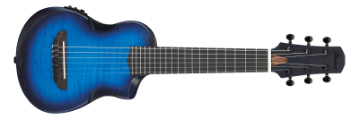 IBANEZ - AUP10FMNE-TBO