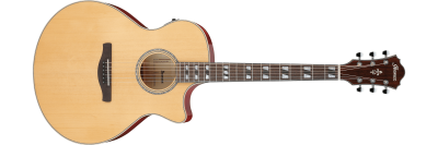 IBANEZ - AE170-NTR