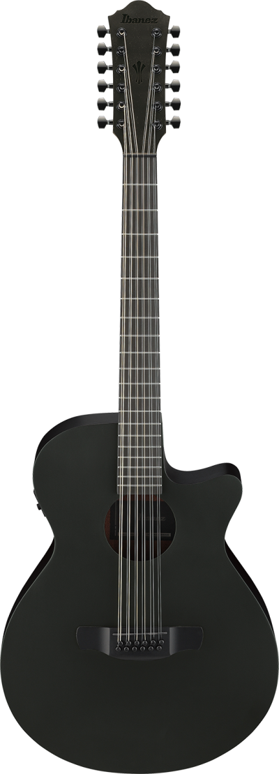 IBANEZ - AEG1221-BOT